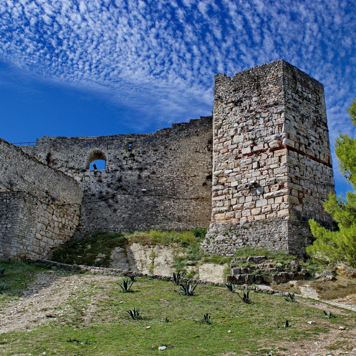 Berat Caste